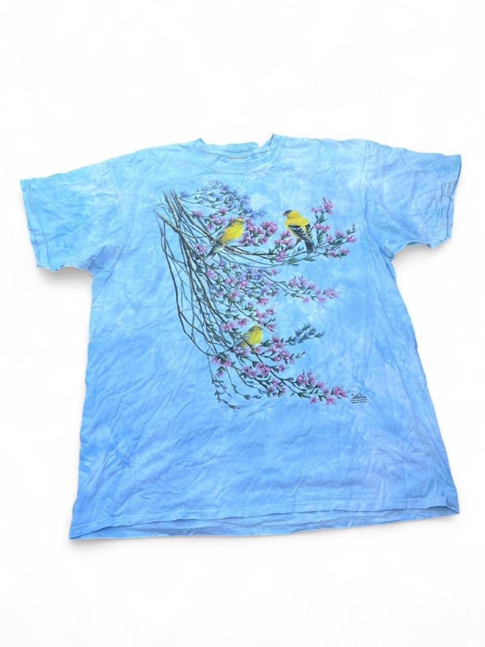 Vintage The Mountain Goldfinch Nature Graphic Tee – Blue Tie-Dye, Fits XL